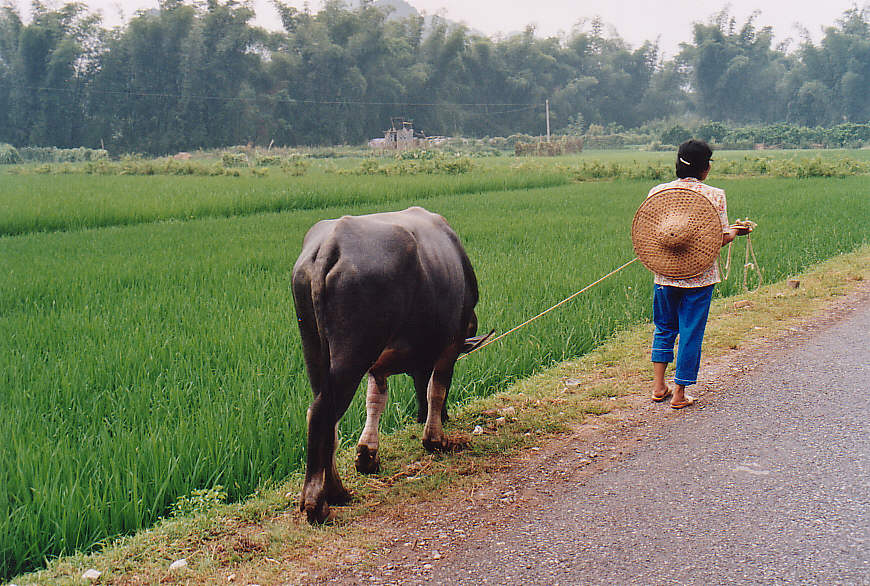 China-Impression