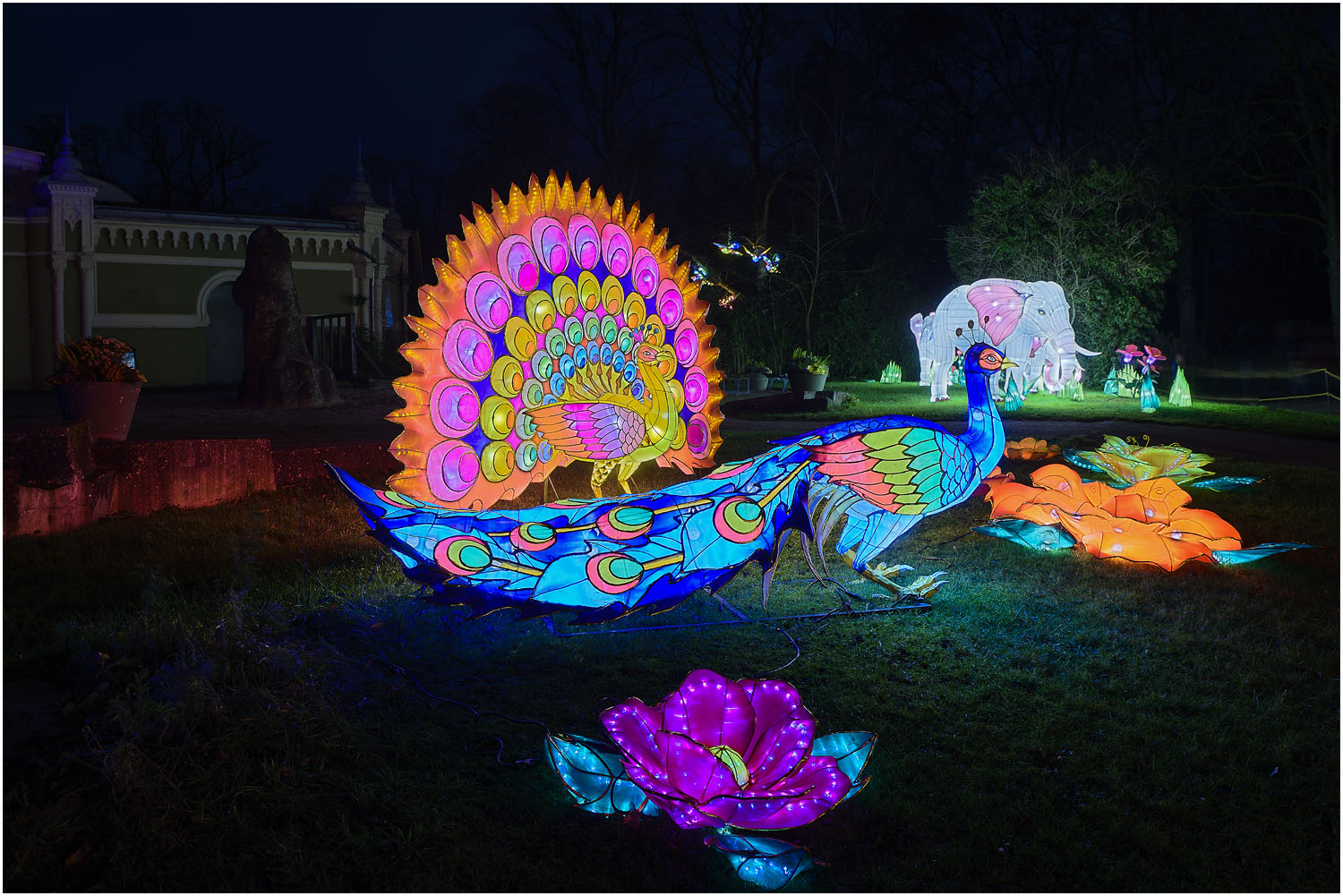 China Light-Festival 1