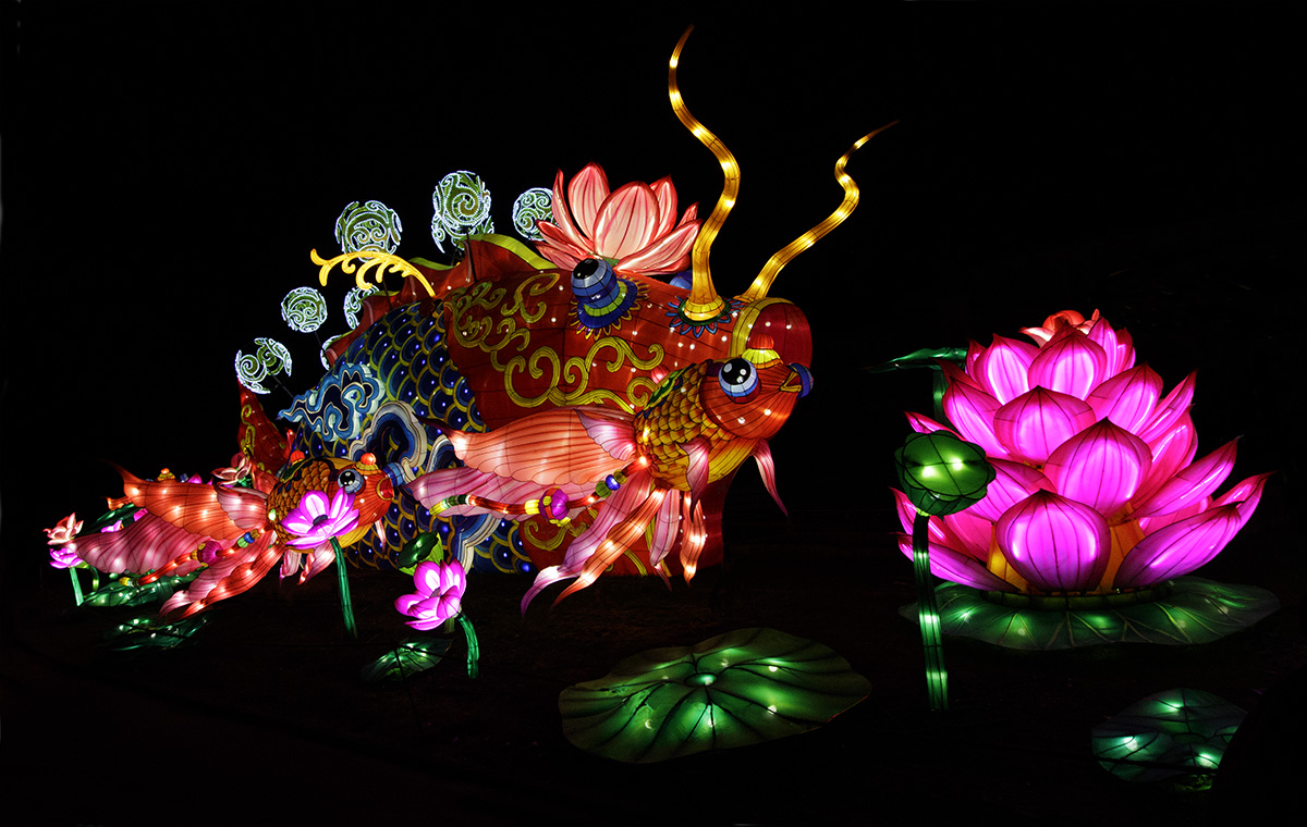 China Light Festival