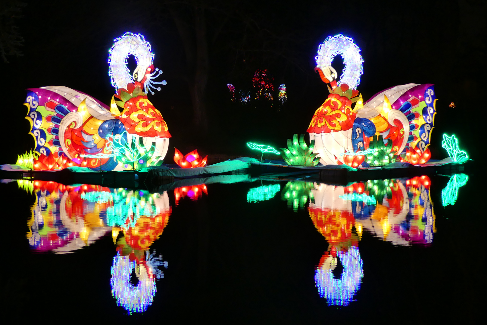 China Light Festival