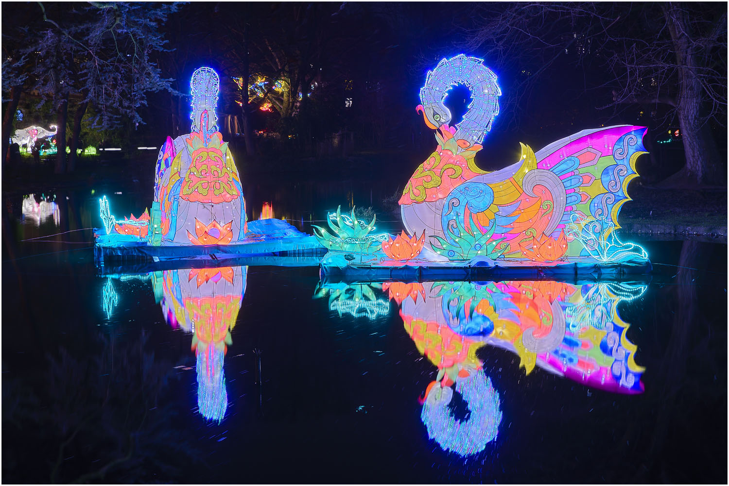 China Light-Festival 3