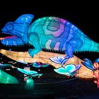 ~ China Light Festival - Chameleon ~