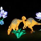 ~ China Light Festival - Dino II ~