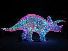 ~ China Light Festival - Dino III ~