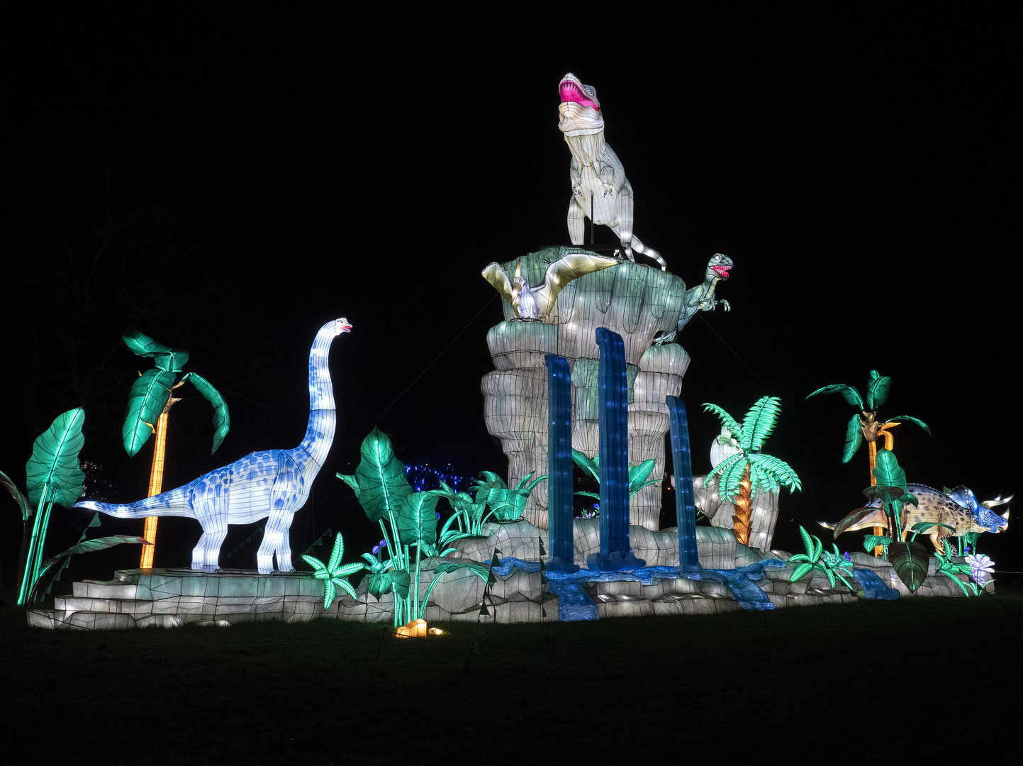 ~ China Light Festival - Dino IV ~