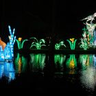 ~ China Light Festival - Dino IX ~