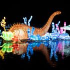 ~ China Light Festival - Dino V ~