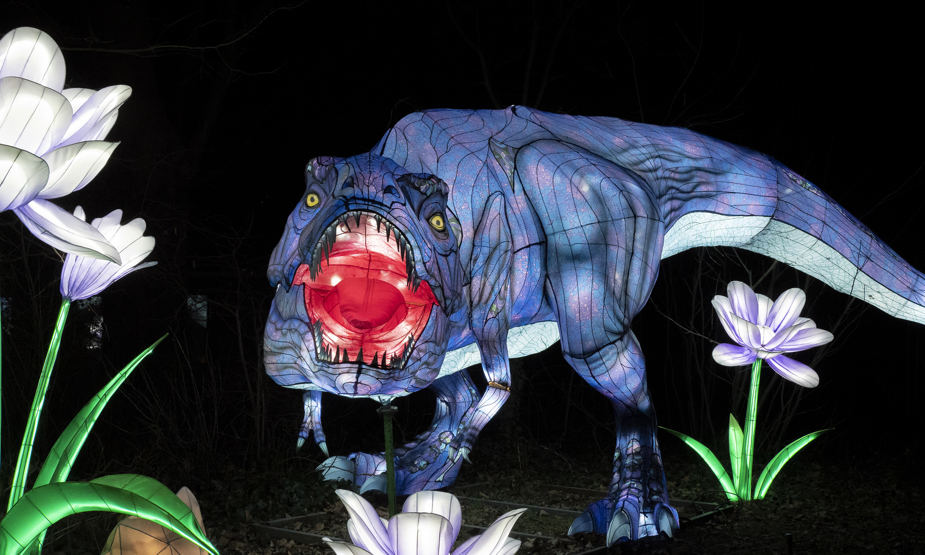 ~ China Light Festival - Dino VII ~