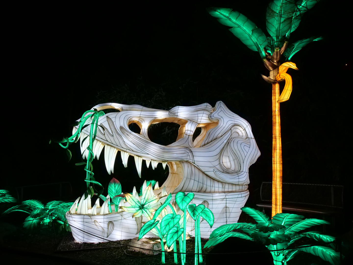 ~ China Light Festival - Dino VIII ~