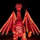 ~ China Light Festival - Drache ~