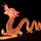 ~ China Light Festival - Drache ~