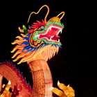 ~ China Light Festival - Drache II ~