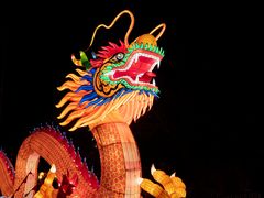 ~ China Light Festival - Drache II ~