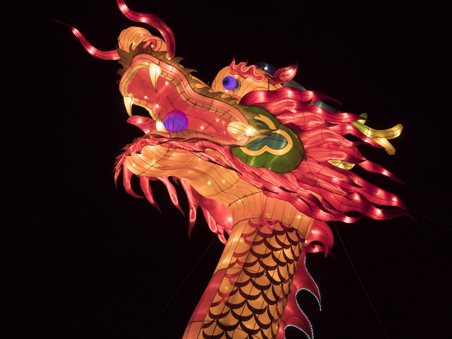 ~ China Light Festival - Drachenkopf ~