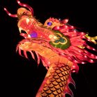 ~ China Light Festival - Drachenkopf ~