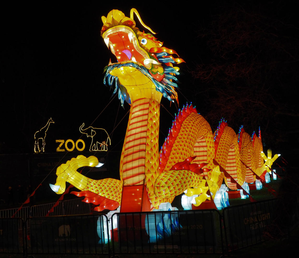 China Light-Festival...