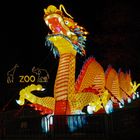 China Light-Festival...