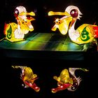 China Light Festival - Fischende Pelikane