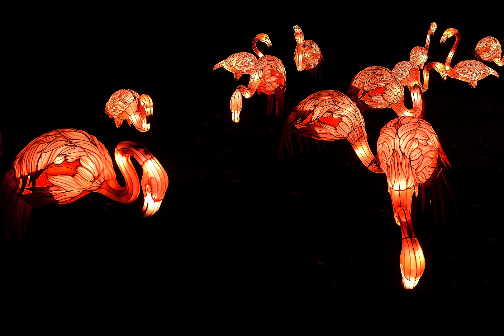 China Light Festival - Flamingos