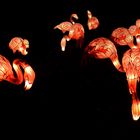 China Light Festival - Flamingos