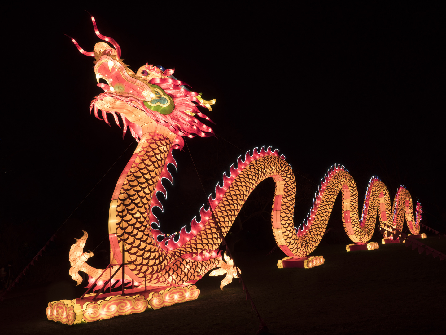 ~ China Light Festival - Großer Drache ~