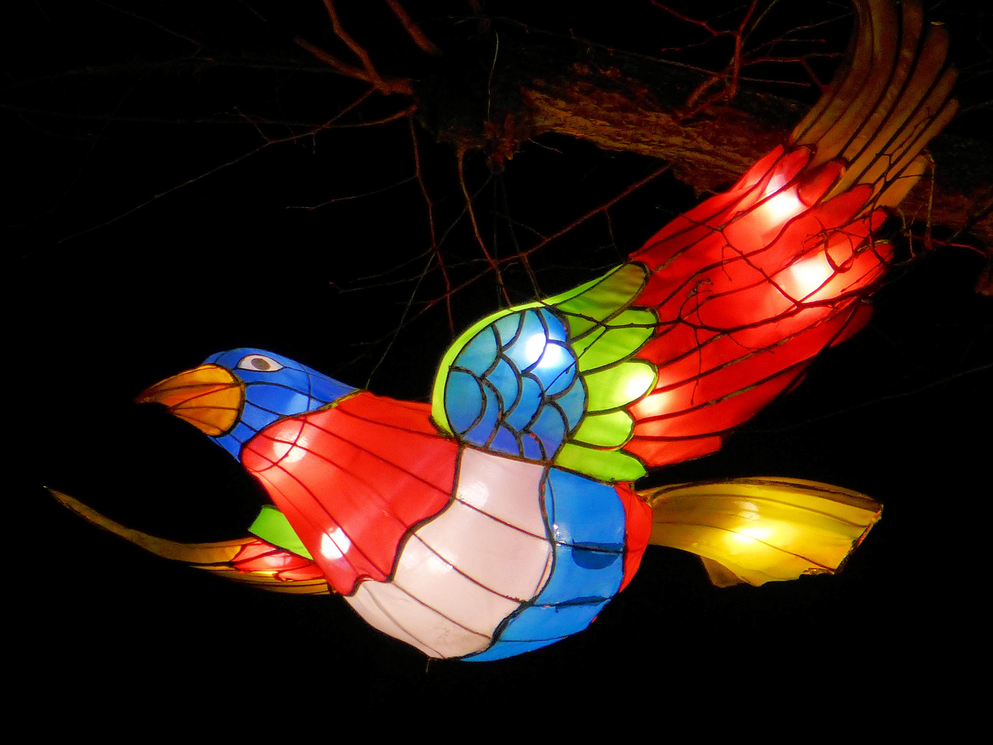 China Light Festival Kölner Zoo 2018