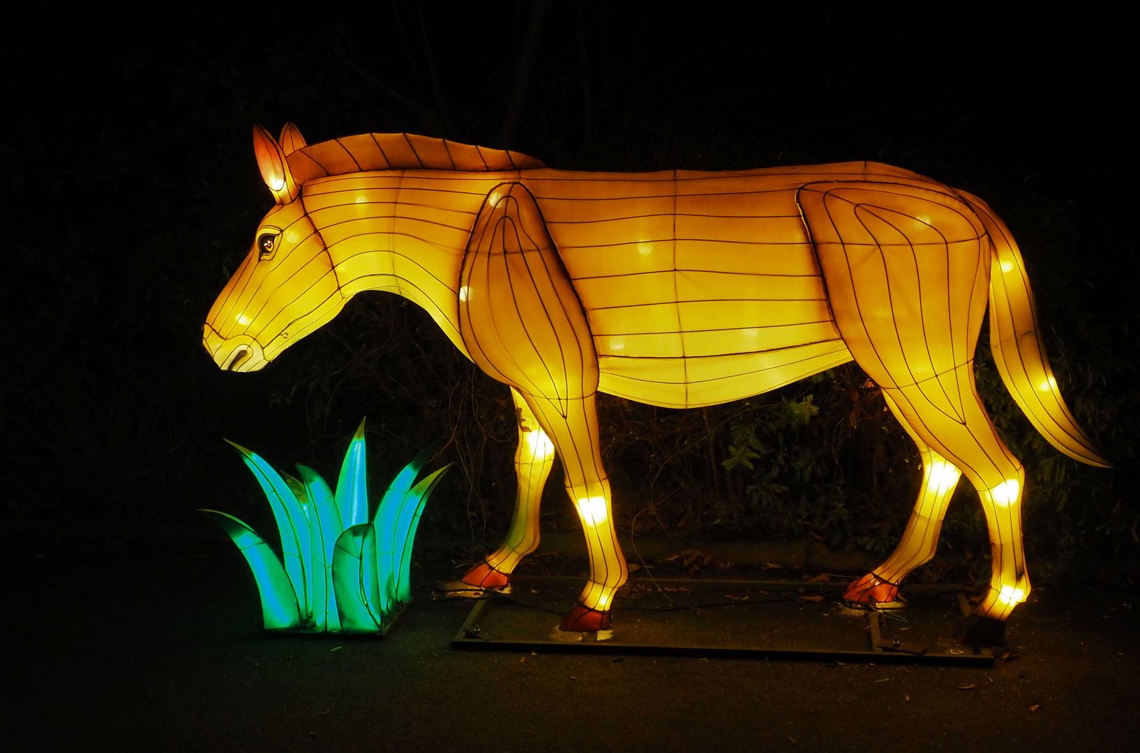 China light Festival Kölner Zoo 2019 