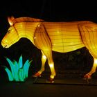 China light Festival Kölner Zoo 2019 