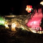 ~ China Light Festival - Krokodil ~