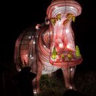 ~ China Light Festival - Nilpferd ~