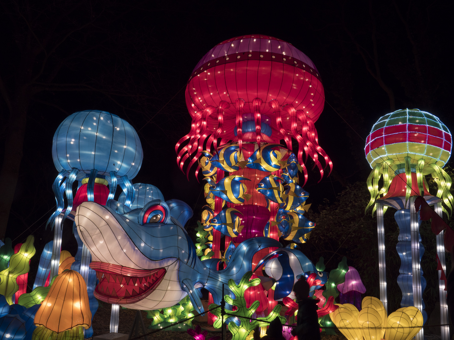 ~ China Light Festival - Shark in Action ~