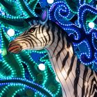 ~ China Light Festival - Zebra ~