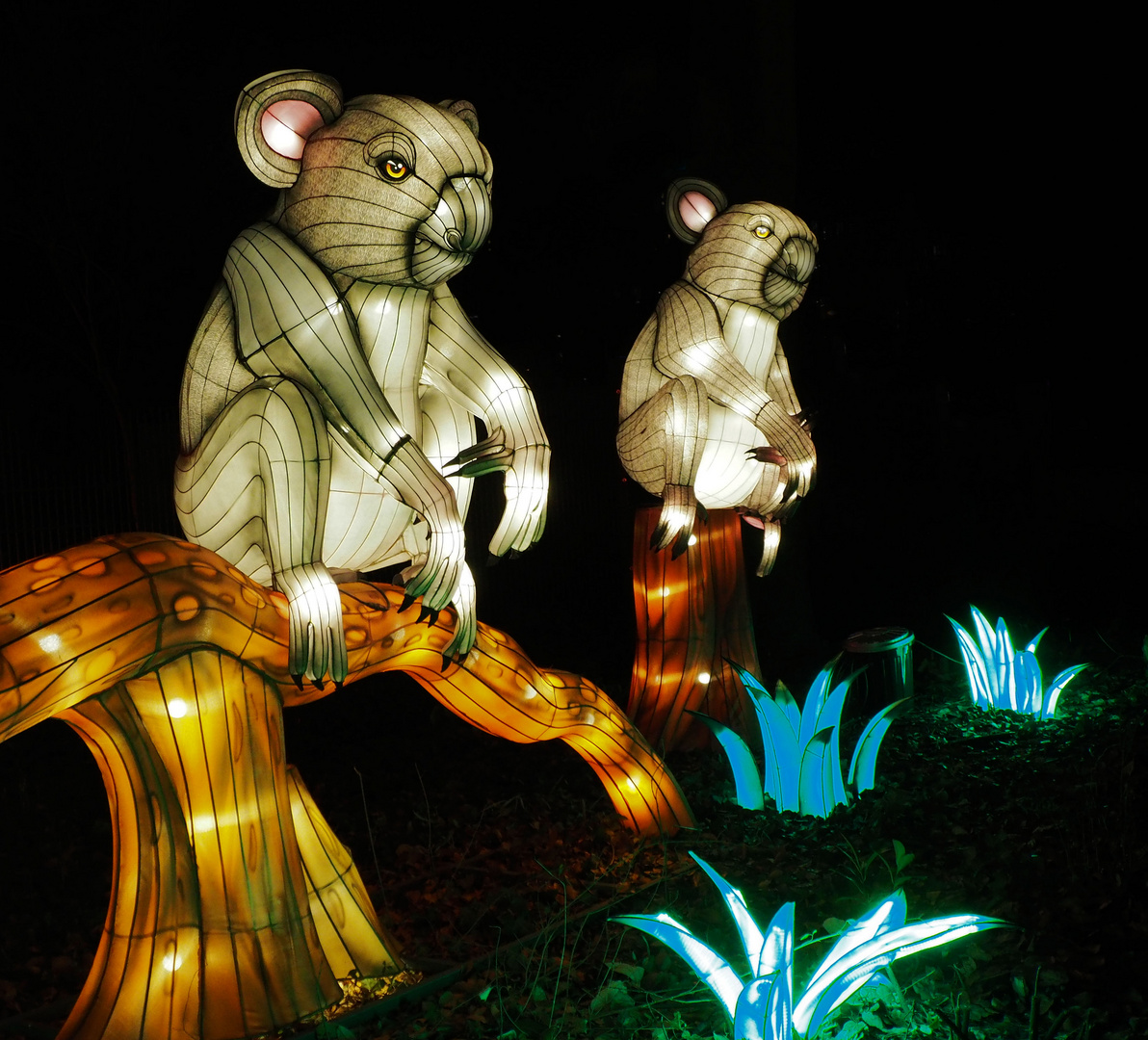 China Light Festival...im Kölner Zoo ...