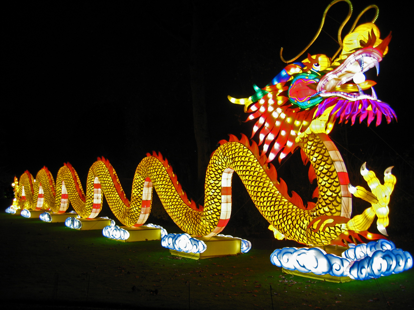 China Light im Tiergarten Antwerpen