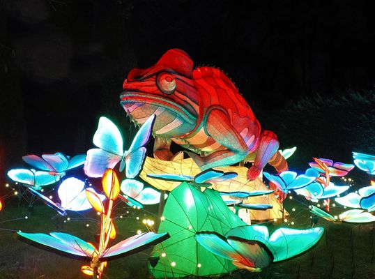 China Lights 2024…