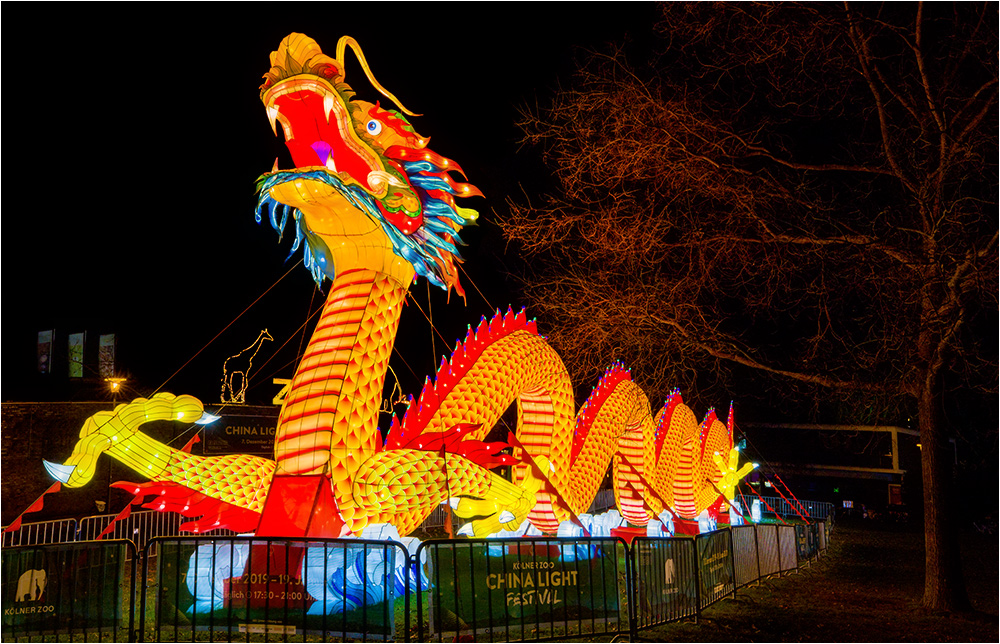 China lights im Kölner Zoo 11