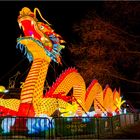 China lights im Kölner Zoo 11