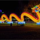 China lights im Kölner Zoo 2