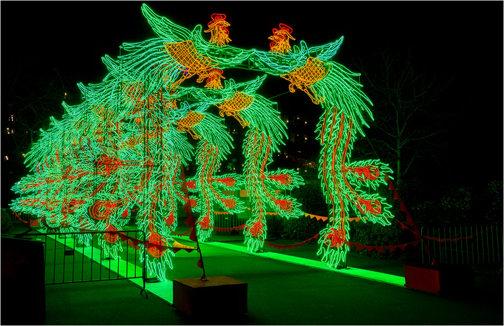 China lights im Kölner Zoo 22