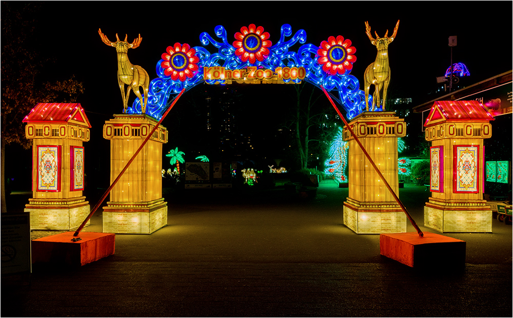 China lights im Kölner Zoo 23 Foto & Bild china, dokumentation, nacht
