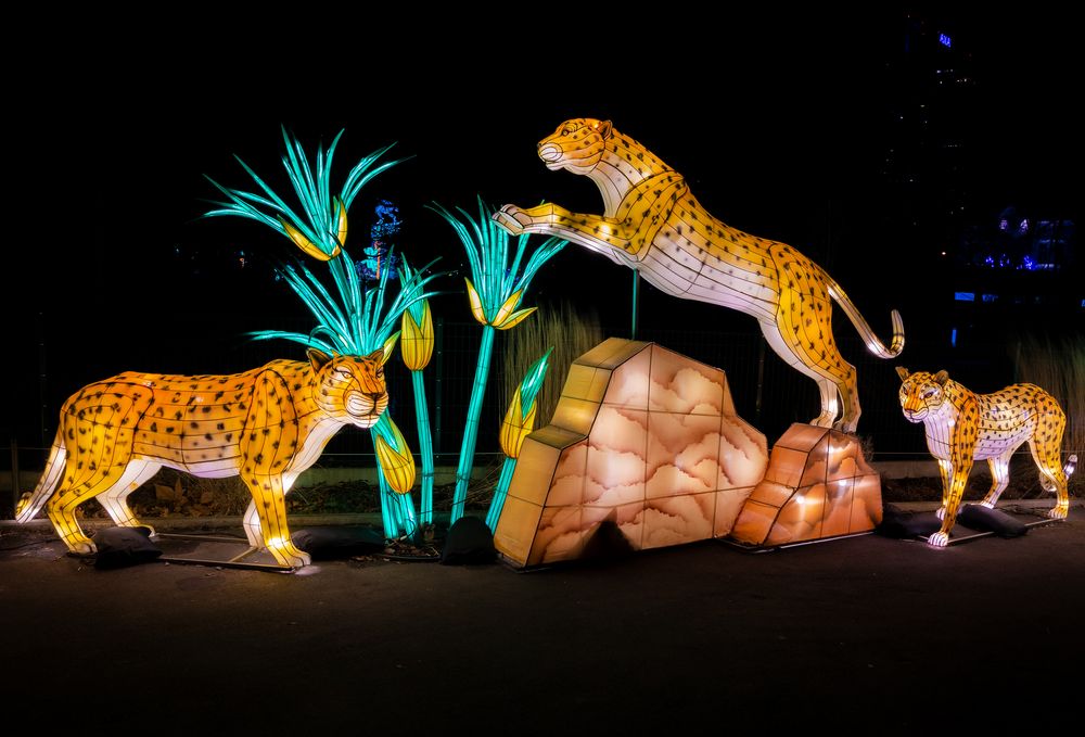 China lights im Kölner Zoo 45