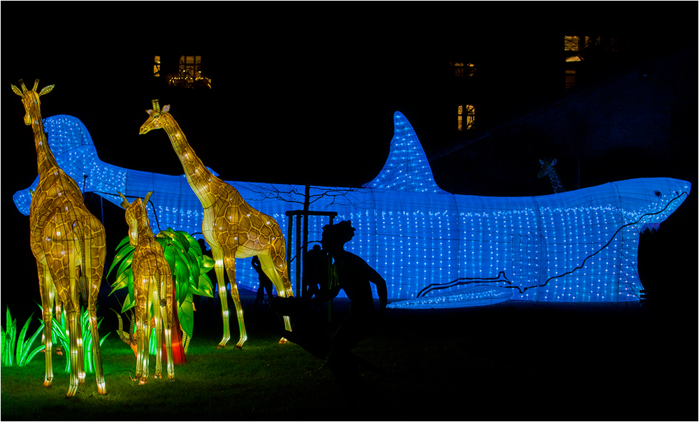 China lights im Kölner Zoo 8