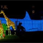 China lights im Kölner Zoo 8