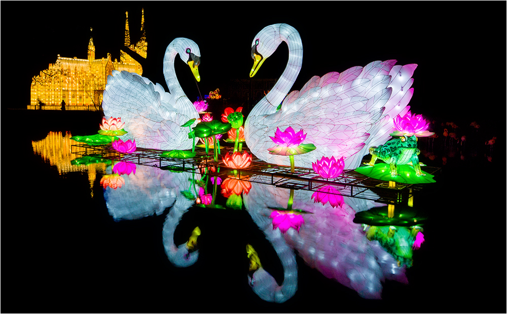 China lights im Kölner Zoo 9