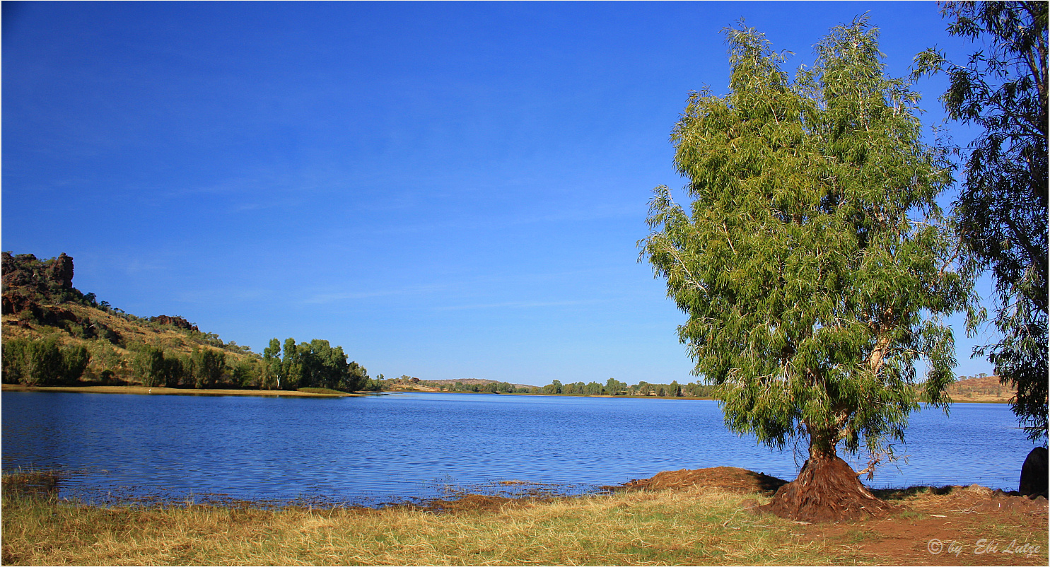 *** China Man Dam   Cloncurry ***