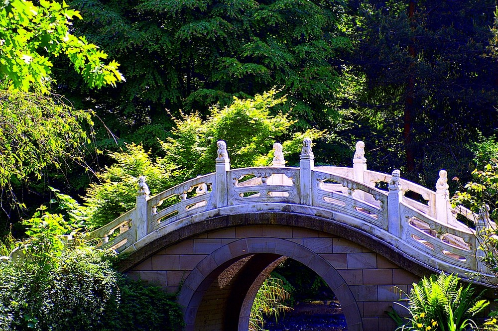 Chinabrücke im Duisburger Zoo