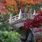 Chinabrücke im Herbst