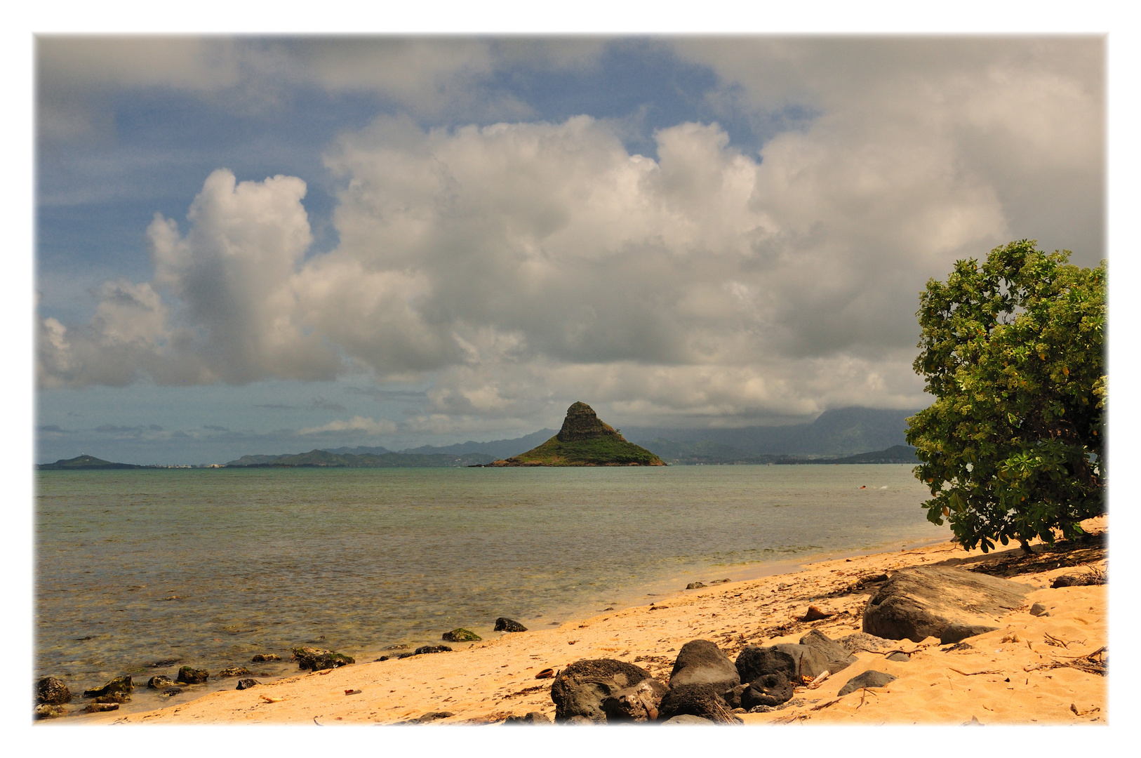 chinaman's hat