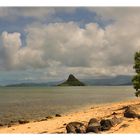 chinaman's hat