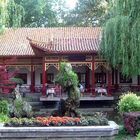 Chinarestaurant im Donaupark